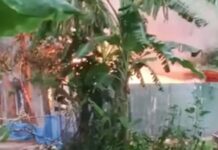 পাবনায় কিশোরীকে ধষর্ণ-হত্যার জেরে আসামিদের বাড়িতে আগুন, দগ্ধ হয়ে নিহত ৩